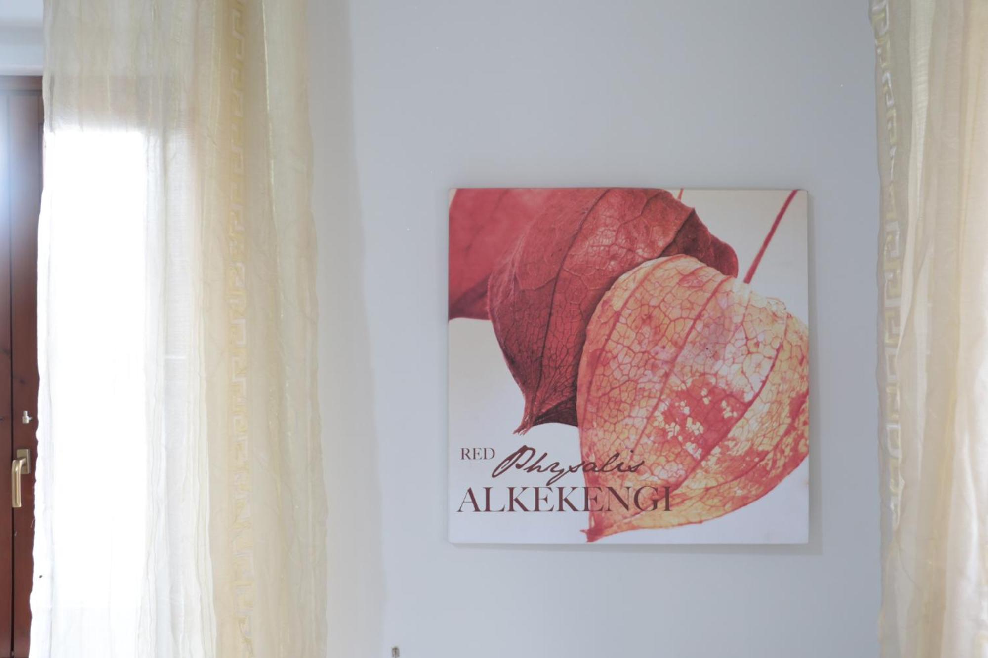 The Maze Vibo B&B Vibo Valentia Zewnętrze zdjęcie